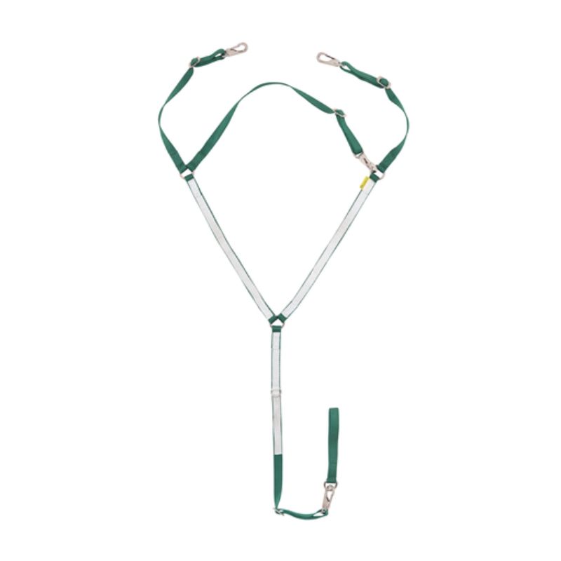 collier de chasse WF