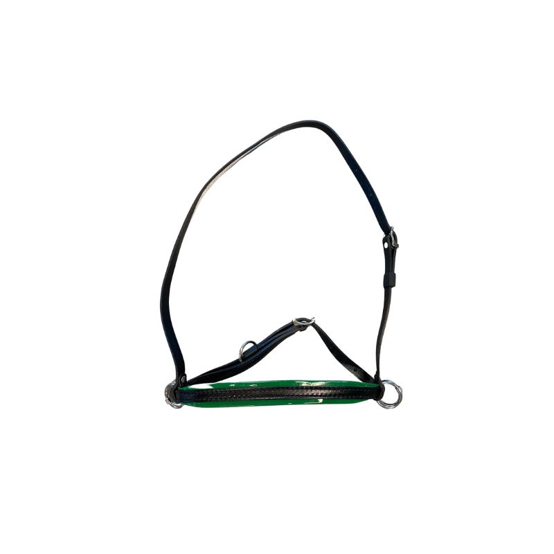 Head halter with ring for headpole RT