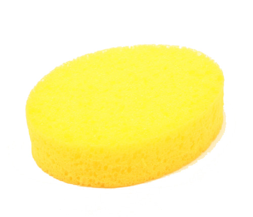 spunge  17*12cm