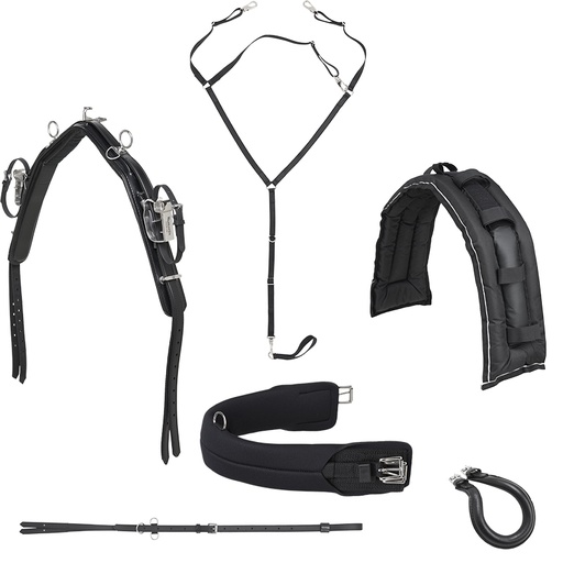 [TAHAR200970K] harnais Next level KIT WF