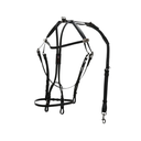 open bridle Walsh