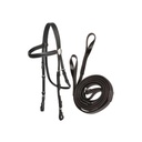 open bridle  + reins for galop