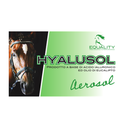 hyalusol 10 x 8ml