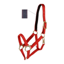 halter Equestrian