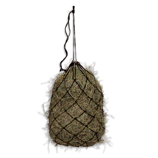 [TASPC602700] hay net