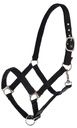 Dexter halter black 